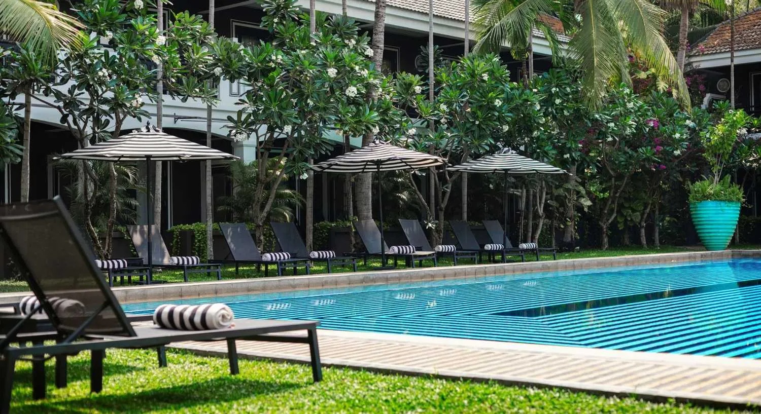 Cambodia Wellness & Rejuvenate